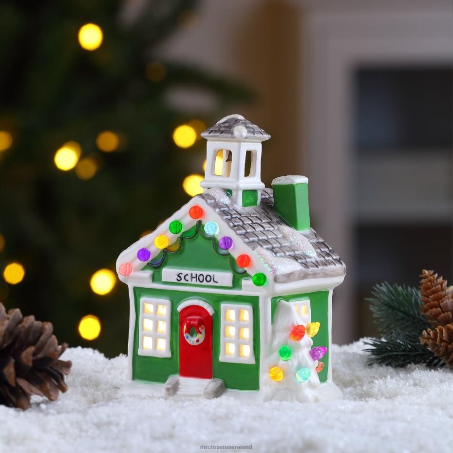 Mr. Christmas Decoration 6