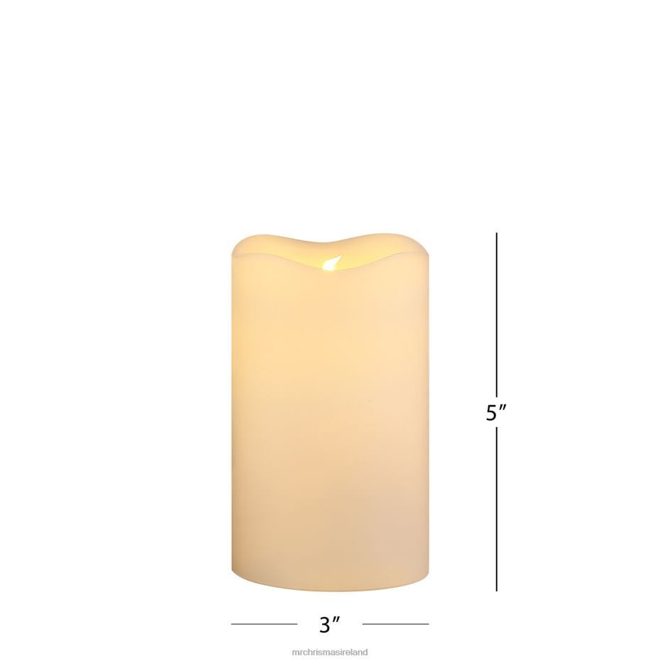 Mr. Christmas Decoration 6