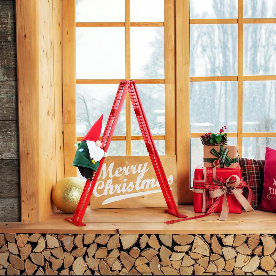 Mr. Christmas Decoration 17