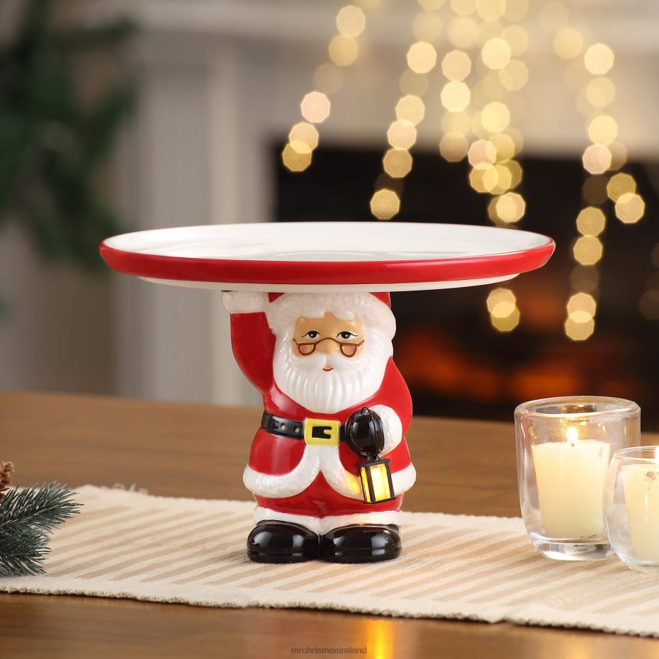 Mr. Christmas Decoration 10