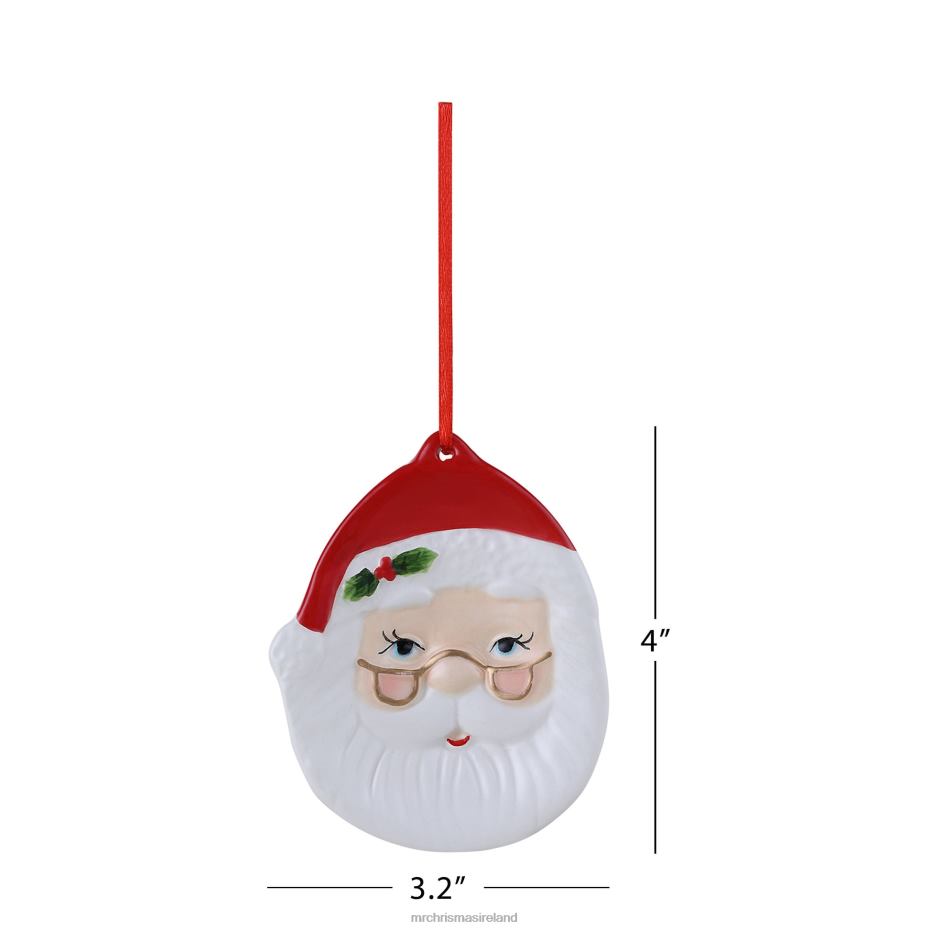 Mr. Christmas Decoration 4